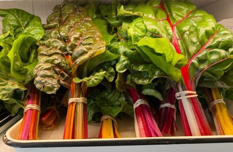 January 2026 Update: Delivery Services